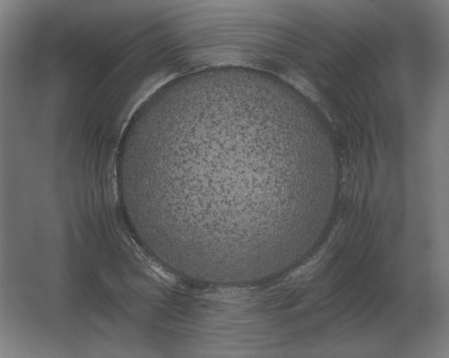 X0000062800782200512290247