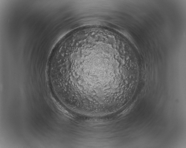 X0000062800783200512290247