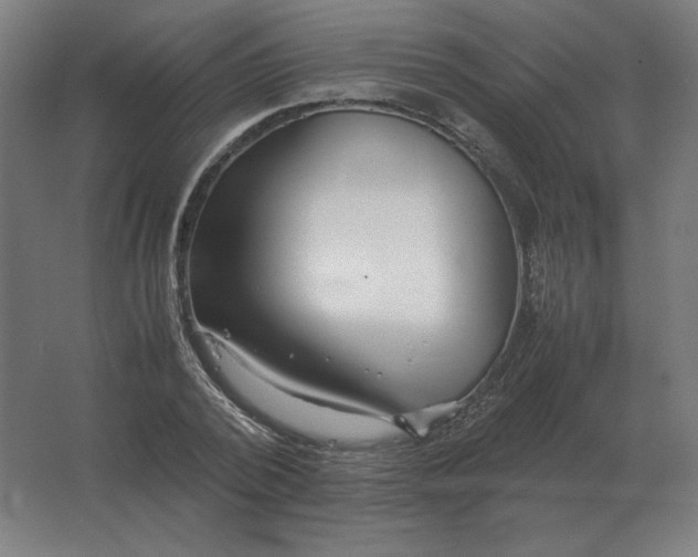 X0000062800784200512290247