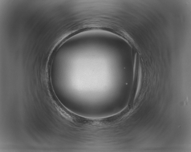 X0000062800787200512290247