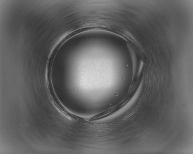 X0000062800788200512290247