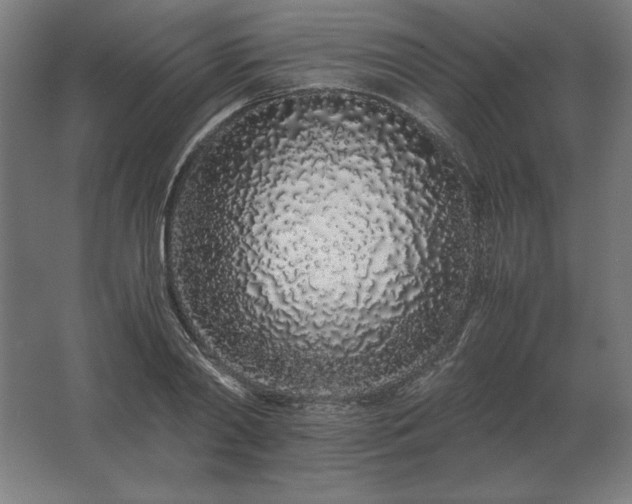 X0000062800790200512290247