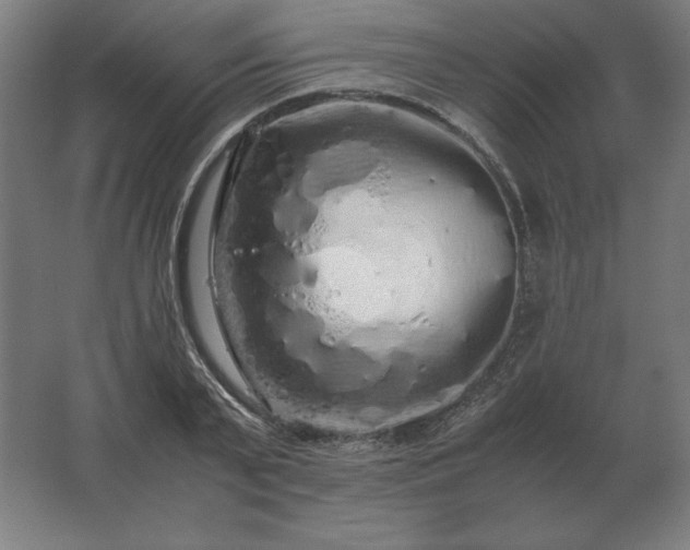 X0000062800791200512290247