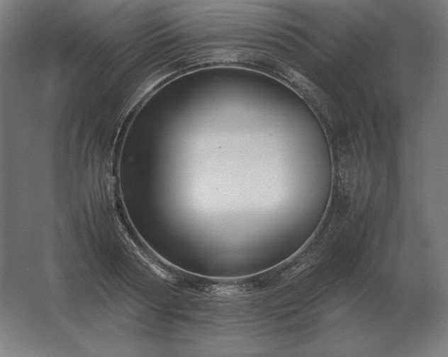 X0000062800794200512290247
