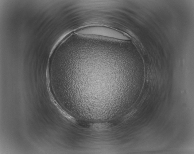 X0000062800796200512290247