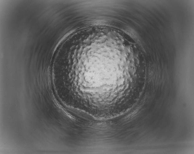X0000062800798200512290247