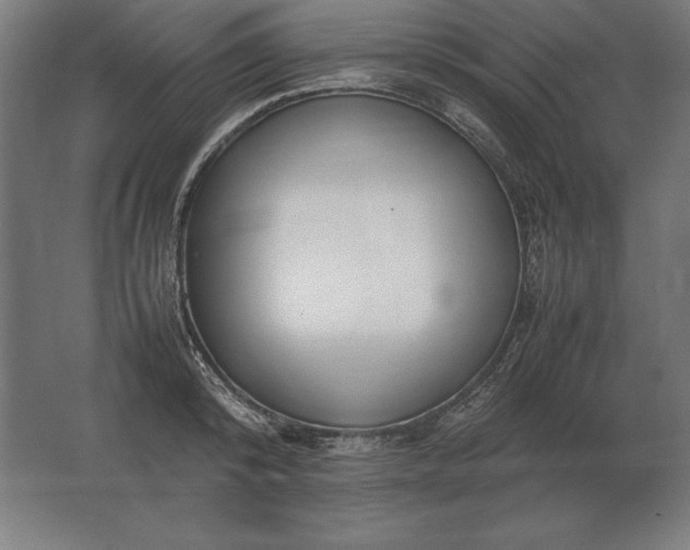 X0000062800800200512290247