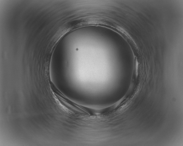 X0000062800801200512290247