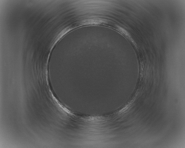 X0000062800802200512290247