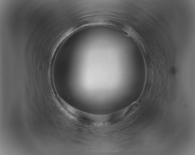 X0000062800805200512290247
