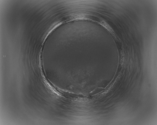 X0000062800806200512290247