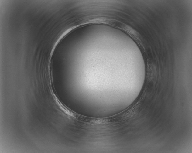 X0000062800808200512290247