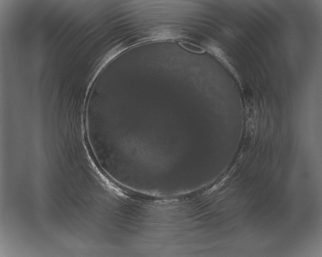 X0000062800810200512290247