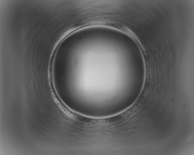 X0000062800811200512290247