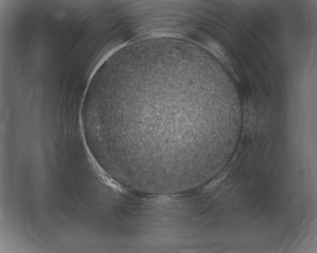 X0000062800814200512290247