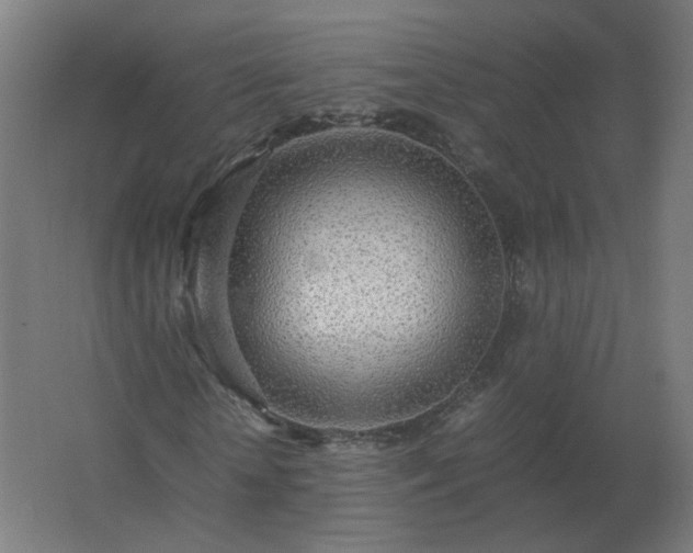 X0000062800818200512290246