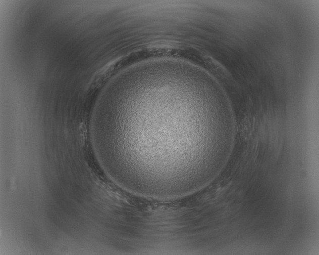X0000062800821200512290246