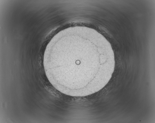 X0000062800824200512290246