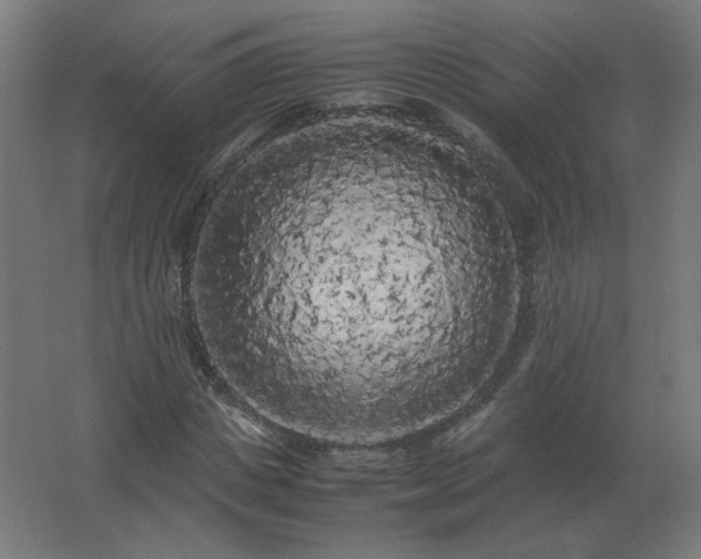 X0000062800825200512290246