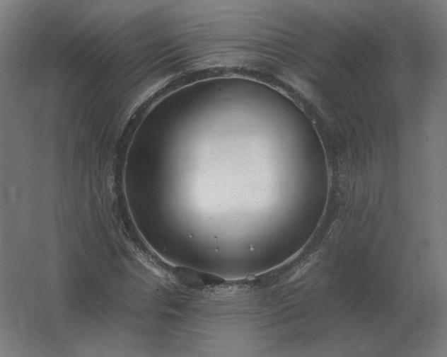 X0000062800826200512290246