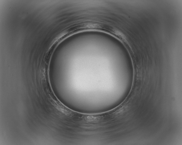 X0000062800827200512290246