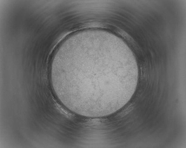 X0000062800828200512290246