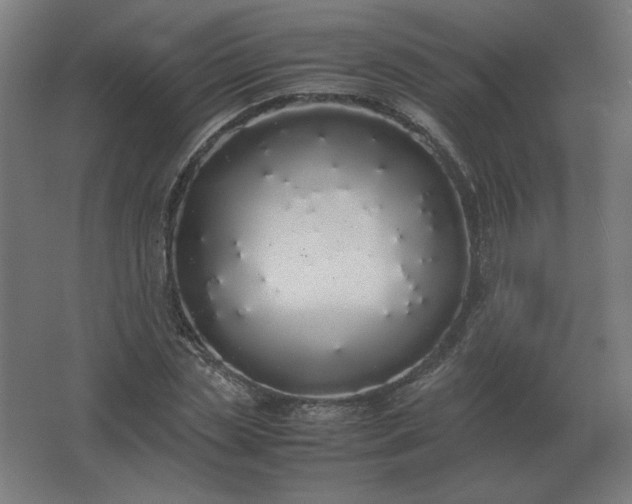 X0000062800829200512290246