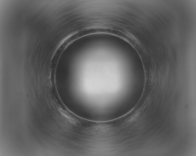 X0000062800830200512290246