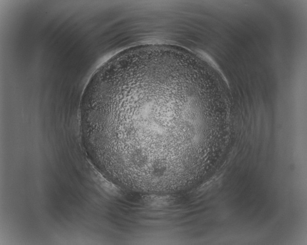 X0000062800831200512290246