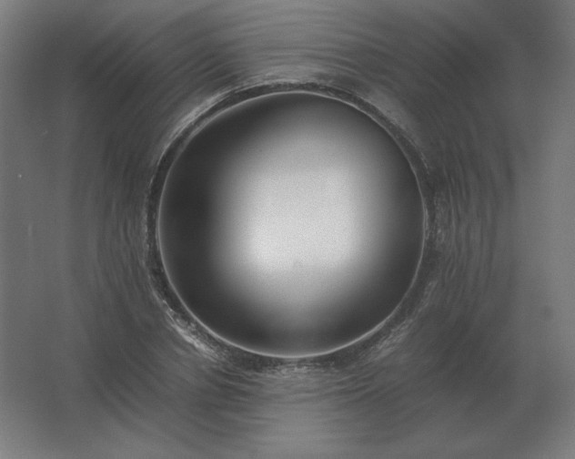 X0000062800834200512290246