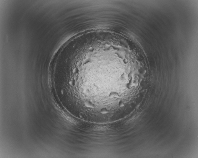 X0000062800835200512290246