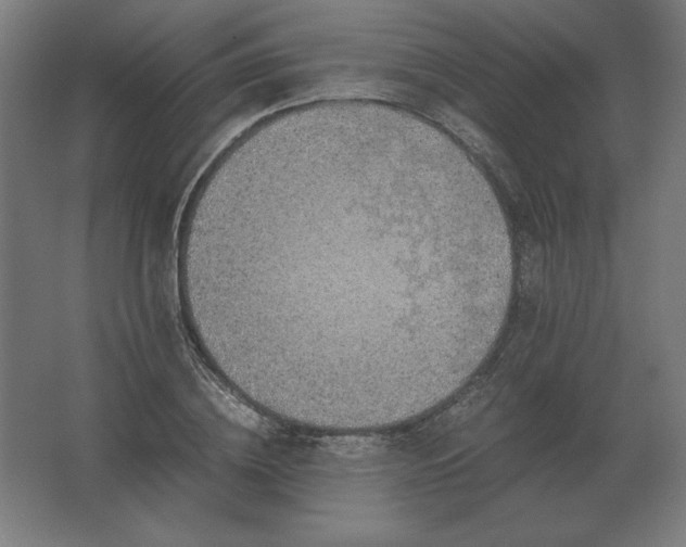 X0000062800836200512290246