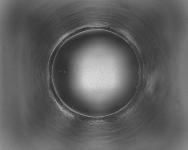 X0000062800837200512290246