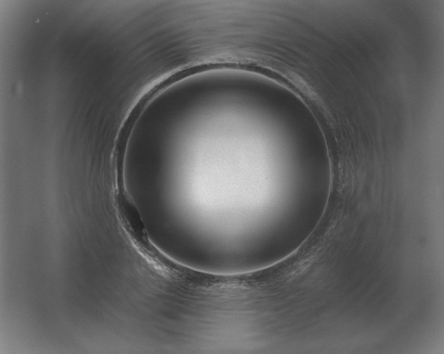 X0000062800838200512290246