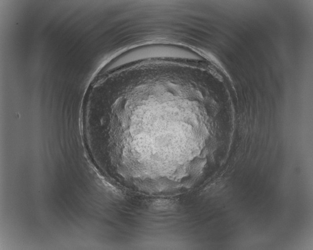 X0000062800839200512290246