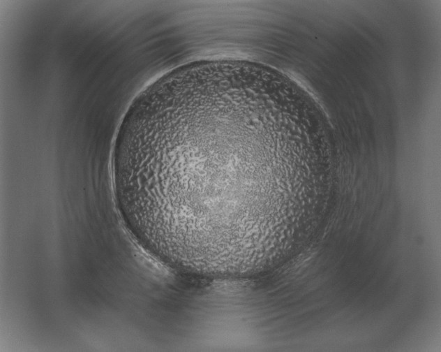 X0000062800840200512290246