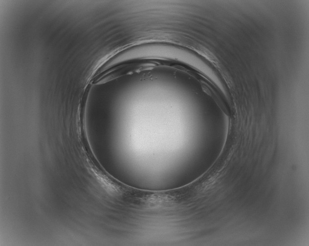 X0000062800842200512290246