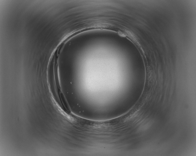 X0000062800843200512290246