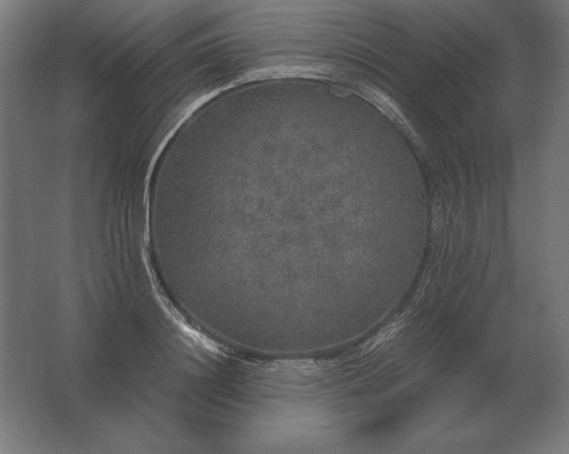 X0000062800844200512290246