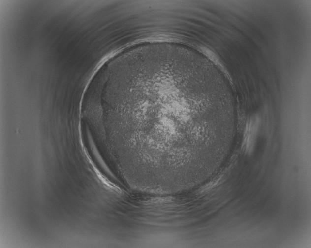 X0000062800845200512290246