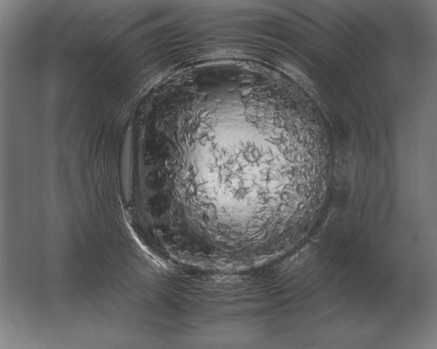 X0000062800849200512290246
