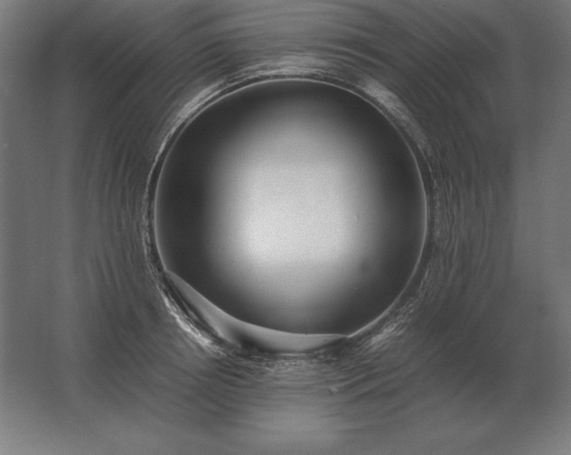 X0000062800850200512290246