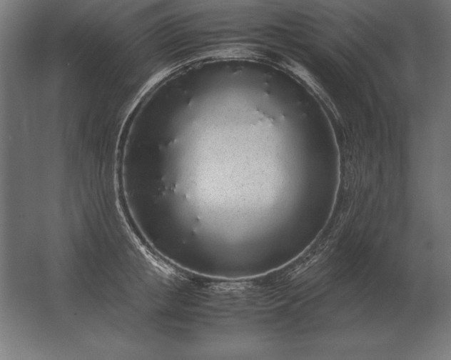 X0000062800853200512290246