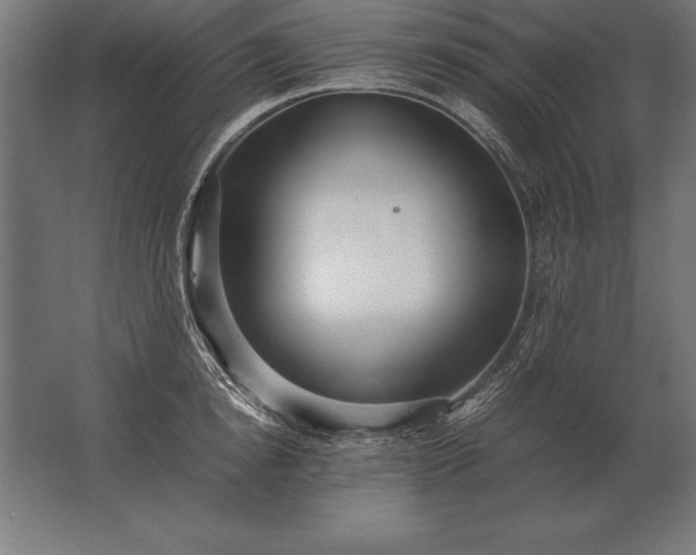 X0000062800854200512290246
