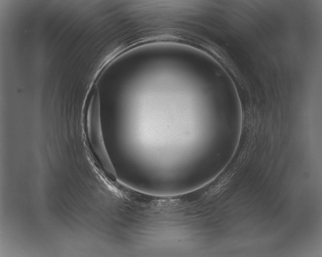 X0000062800858200512290247
