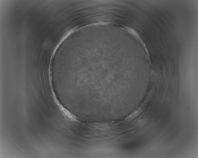 X0000062800859200512290247