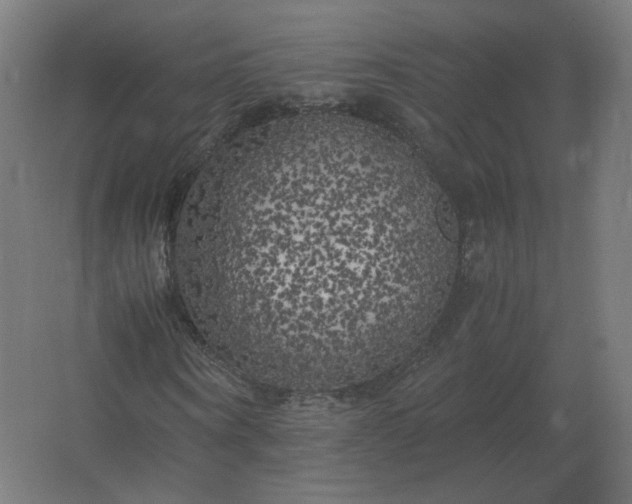 X0000062800866200512290246