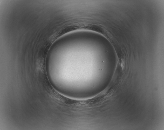 X0000062800867200512290246