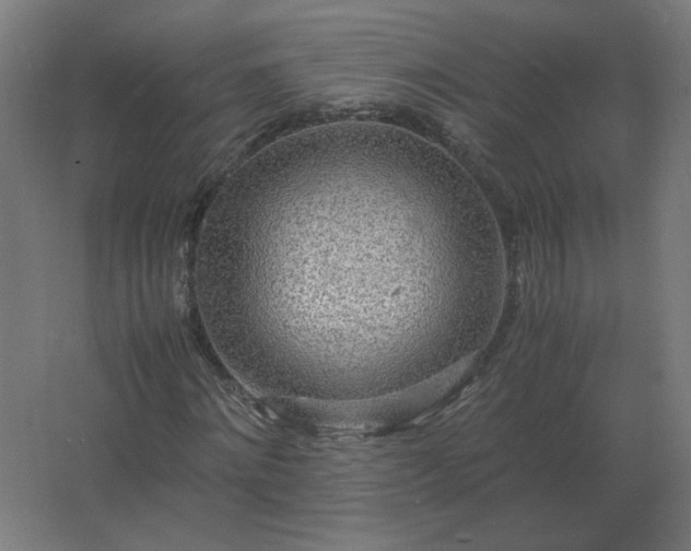 X0000062800868200512290246