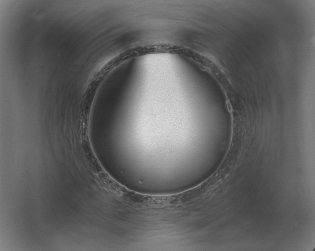 X0000062800871200512290246